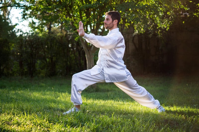 Chen style Tai Chi